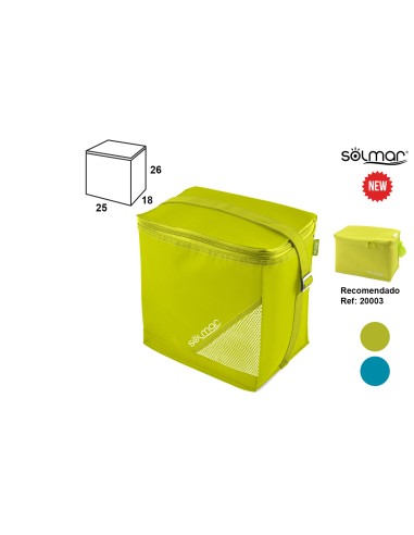 NEVERA POLIEST. 25X18X26CM. SURT.