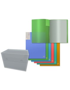 CARPETA CLASIFICADORA 20 FUNDAS A4 TRANSP