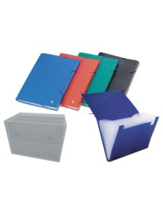 CARPETA CLASIFICADORA 12 B. OPACA COL.SURT