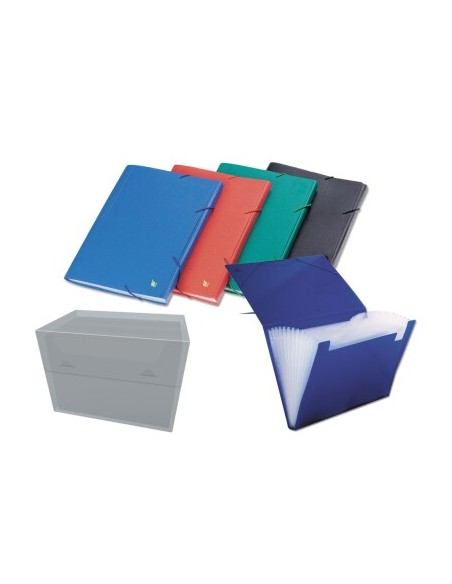 CARPETA CLASIFICADORA 12 B. OPACA COL.SURT