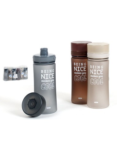 BOTELLA SPORTIF 500ML 6.5X20CM 3 SURTIDO