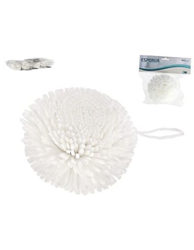 ESPONJA 9CM