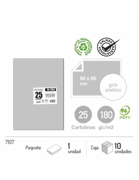 CARTULINA GRIS 25UND 50X65CM