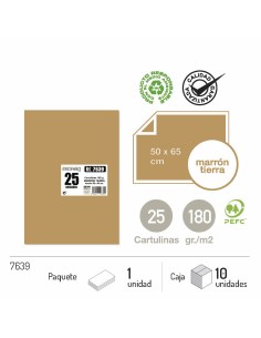 CARTULINA MARRON TIERRA 25UND 50X65CM