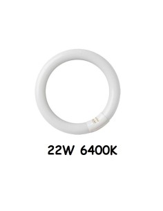 BOMBILLA TUBO 22W 6400K FLUORESCENTE CIRCULAR