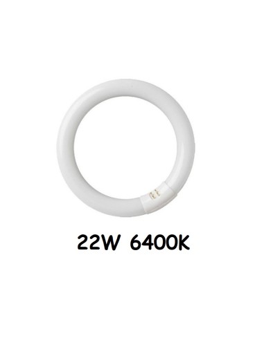 BOMBILLA TUBO 22W 6400K FLUORESCENTE CIRCULAR