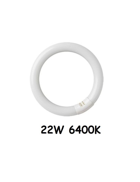 BOMBILLA TUBO 22W 6400K FLUORESCENTE CIRCULAR