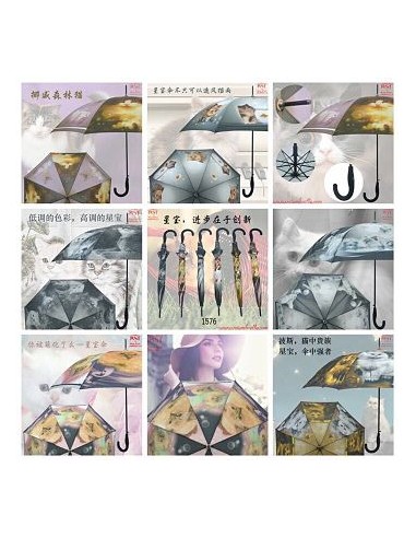 PARAGUAS SEÑORA GATOS