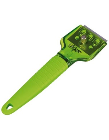 RASCAVIDRIOS ESPECIAL PLACAS