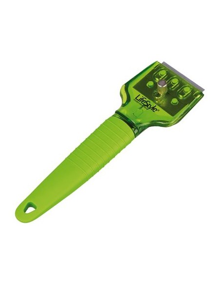 RASCAVIDRIOS ESPECIAL PLACAS