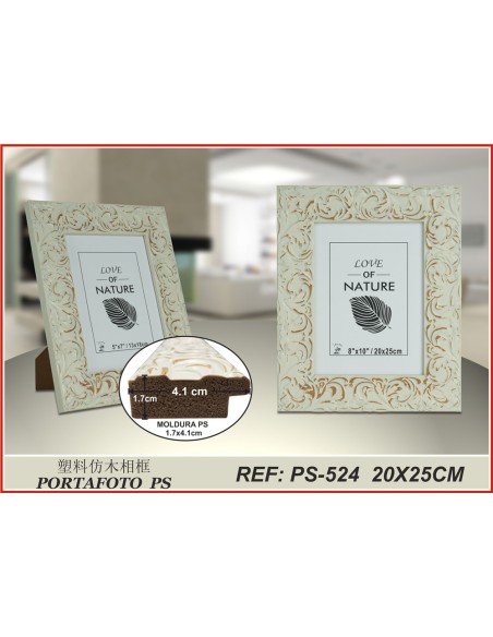 PORTAFOTO PLASTICO PS-524 20X25CM(12/24)