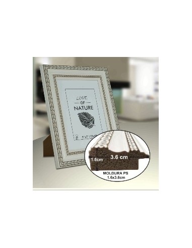 PORTAFOTO PLASTICO PS-523 20X30CM(9/18)