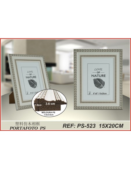 PORTAFOTO PLASTICO PS-523 15X20CM(12/24)