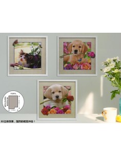 CUADRO EFECTO 5D DM-9044 40X40CM(12)