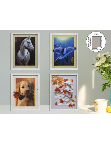 CUADRO EFECTO 5D DM-9041 30X40CM(12)