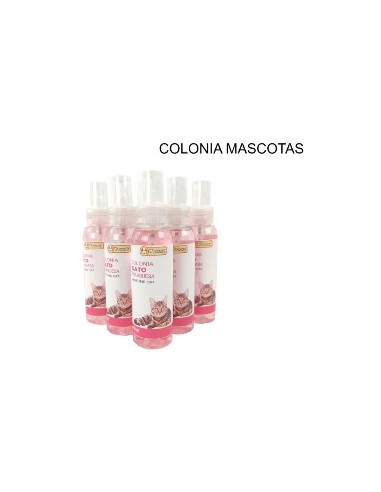 COLONIA FRAMBUESA GATO 100ML