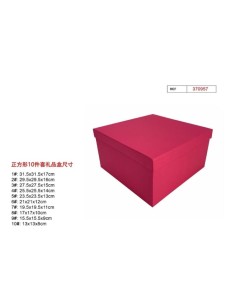 SET 10 CAJAS REGALO 31.5X31.5X17CM