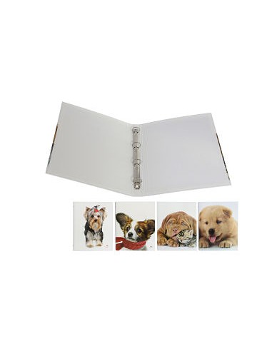 CARPETA 4 ANILLAS 25MM DISEÑO Nº4