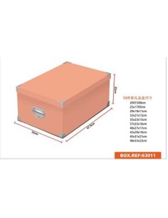 CAJA 10PC