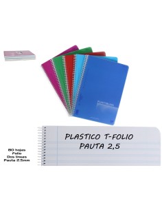 BLOC FOLIO 2 LI. 2,5MM PLASTI 80H 90G 5C
