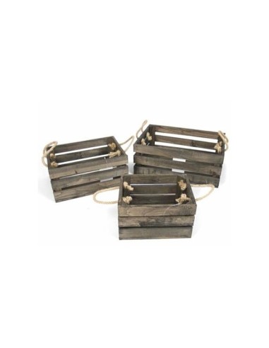 CAJA MADERA WARREN X3 MARRON