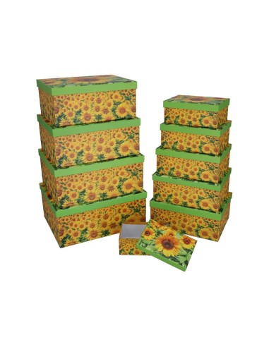 SET 10 CAJAS GIRASOL 37,5X29X16 CM