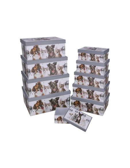SET 10 CAJAS MASCOTAS 37,5X29X16 CM
