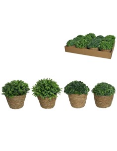 MACETA ALGAS CON ARBUSTIVAS SURT 15 CM