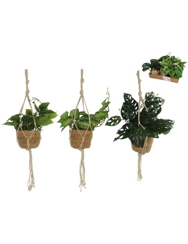 MACETA COLGAR ALGAS PLANTAS SURT 70 CM