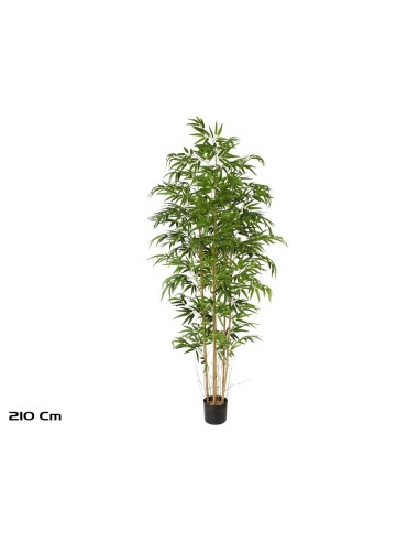 ARBOL BAMBU T/N X 7- 210 CM