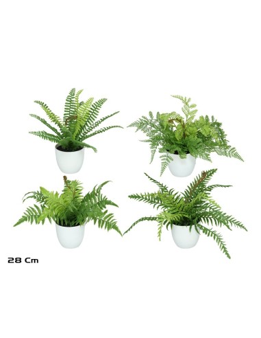 MACETA HELECHOS X 15 LVS-28 CM (S)