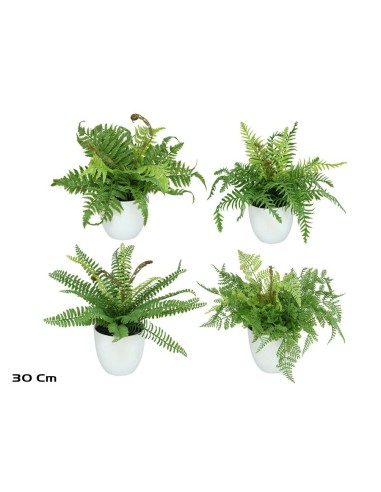 MACETA HELECHOS X 21 LVS-30 CM (S)