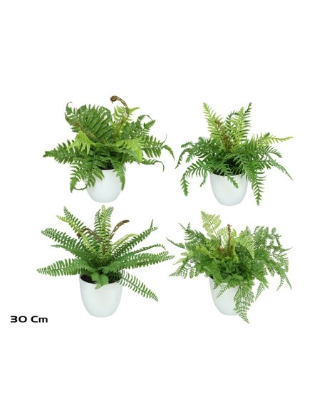 MACETA HELECHOS X 21 LVS-30 CM (S)