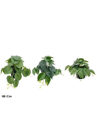 MACETA COLGANTE 23 LVS R/T-18 CM MOD-A (S)