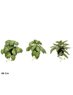 MACETA COLGANTE 23 LVS R/T-18 CM MOD-B (S)