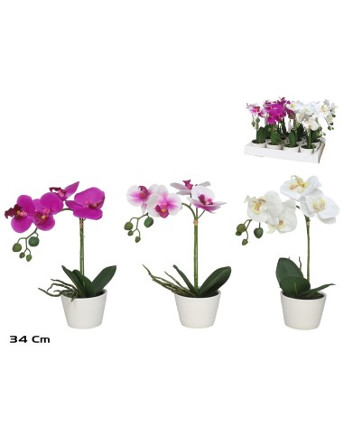 MACETA ORQUIDEAS (F) R/TOUCH-34 CM (S)