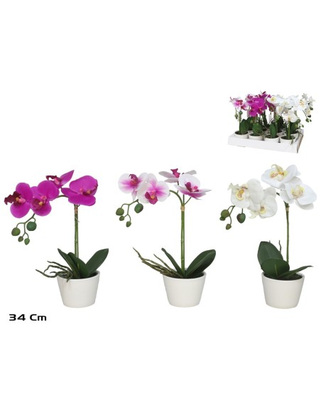 MACETA ORQUIDEAS (F) R/TOUCH-34 CM (S)