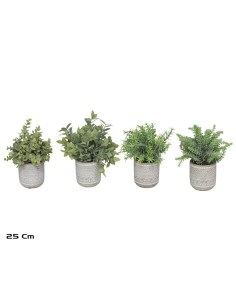 MACETA PLANTAS ARBUSTIVAS 25CM
