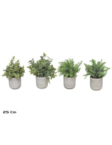 MACETA PLANTAS ARBUSTIVAS 25CM