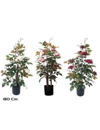MACETA ROSAL 80 CM (S)