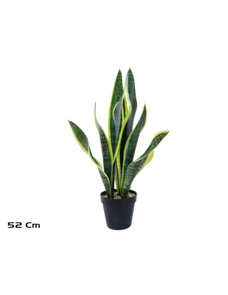 MACETA SENSEVERIA X 8 C/PIEDRAS 52 CM