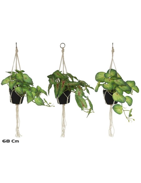 MACETA COLGANTE 29LVS R/T-68CM MOD-B (S)