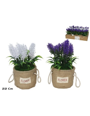 MACETA SACO LAVANDAS 22CM (S)