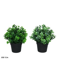 MACETA EUCALIPTO - 22 CM (S)