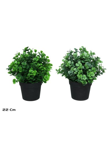 MACETA EUCALIPTO - 22 CM (S)