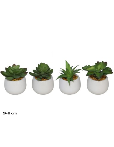 MACETA CERAMICA R/BL  SUCULENTAS 9-11 CM