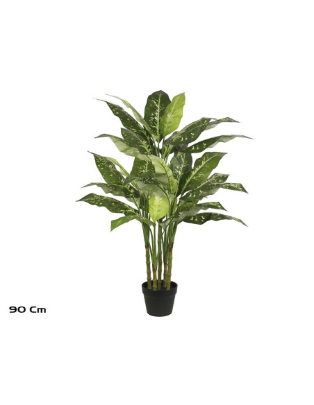PLANTA DIEFFENBACHIA X 5 - 110 CM
