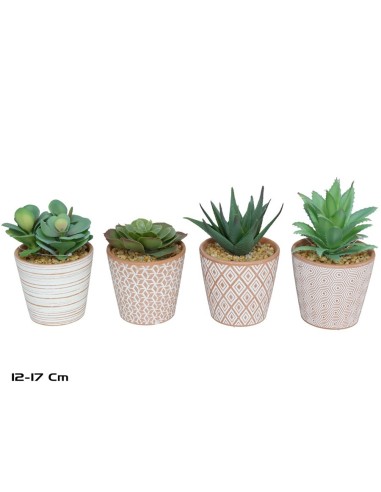 MACETA TIERRA SUCULENTAS 12-17 CM (S)