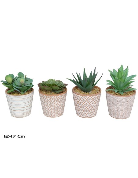MACETA TIERRA SUCULENTAS 12-17 CM (S)