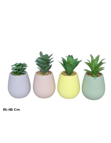 MACETA CER/COLORS SUCULENTAS 15-18CM (S)